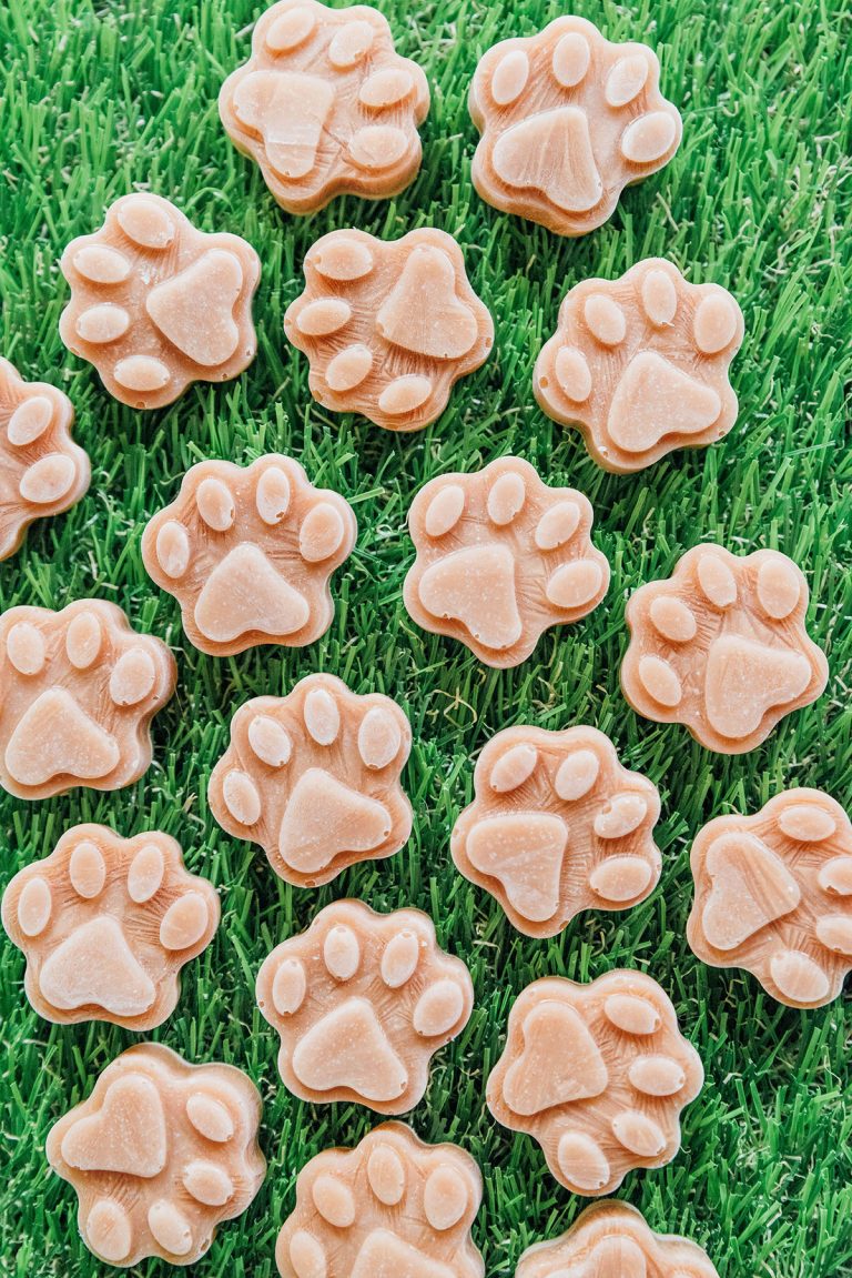 Easy Salmon Dog Treats Recipe Bone Appetreat
