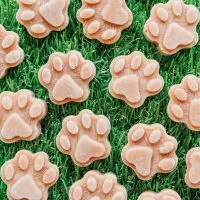 Paw shaped salmon dog treats on grass.