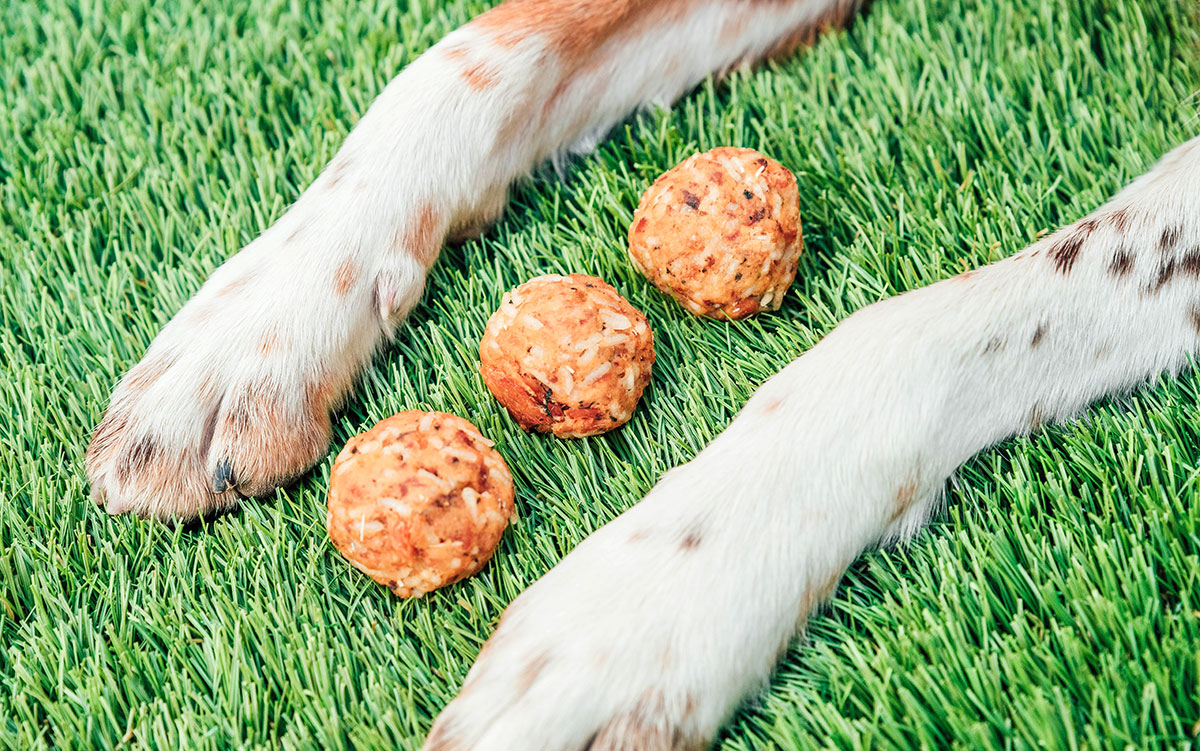 Three sensitive dogs treats in ball shapes in between dogs paws.