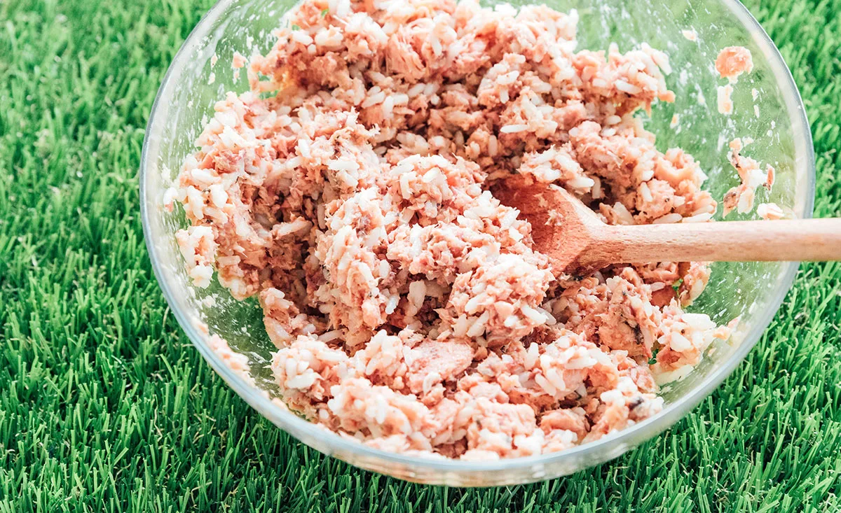Salmon, rice, and egg mixed together in a bowl for the dog treat.