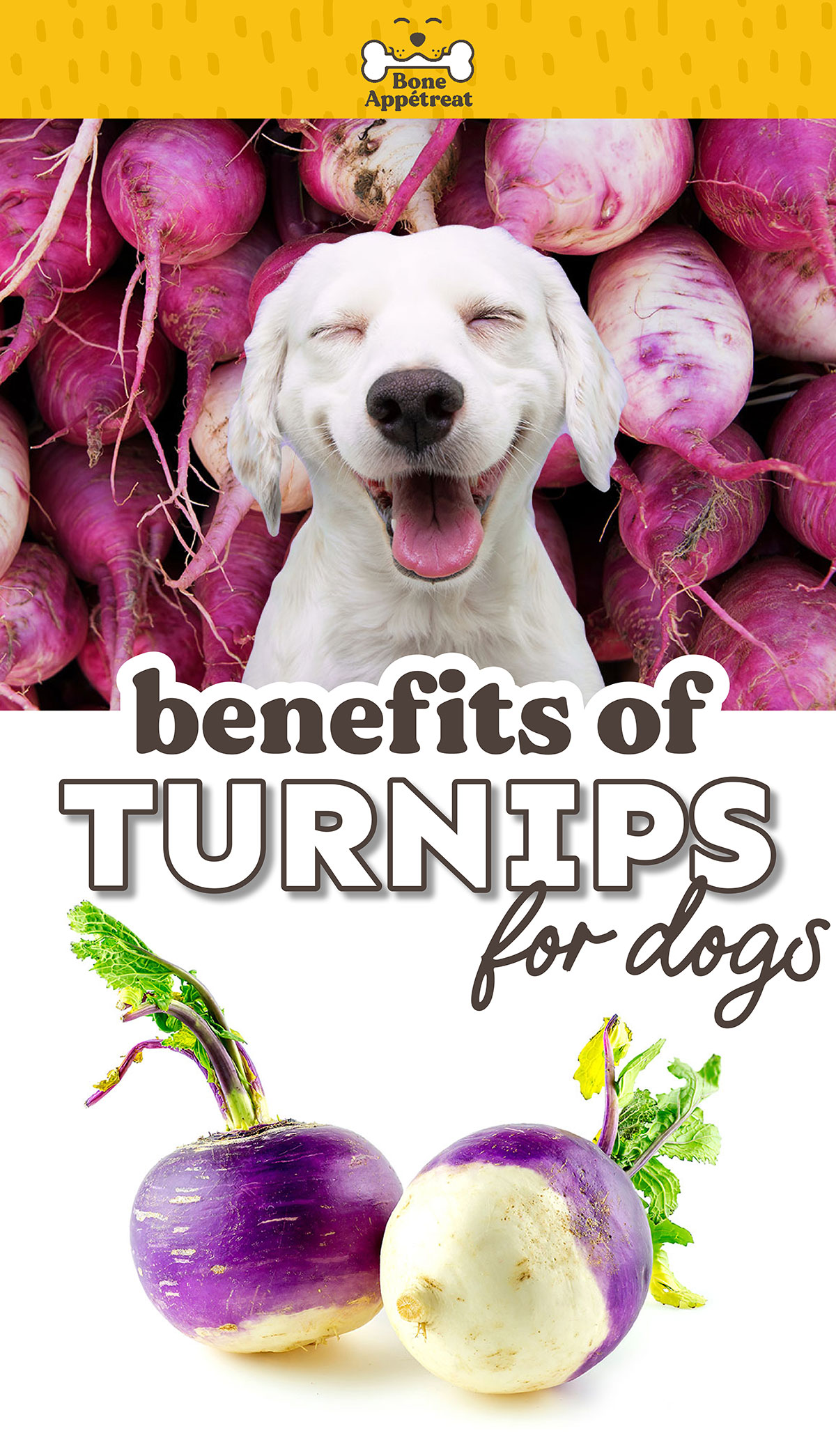 Can Dogs Eat Turnips? (Read Before You Feed!) Bone Appetreat