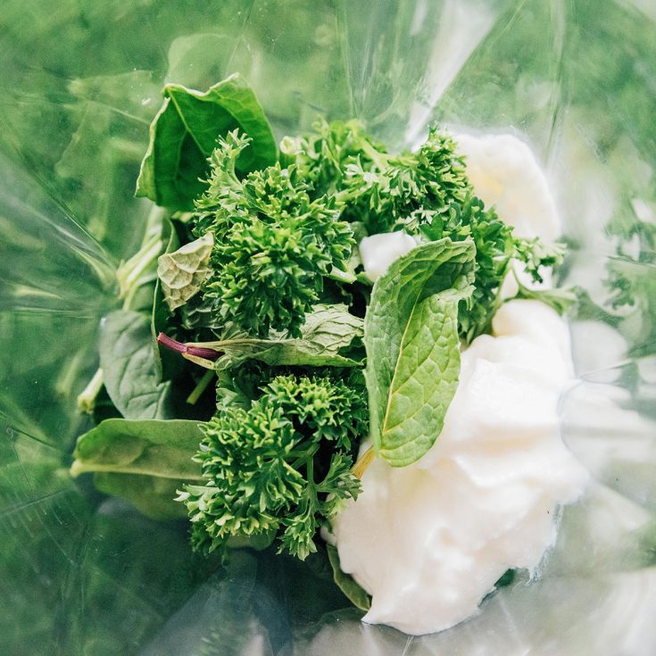 Homemade Dog Breath Mints Recipe Bone Appetreat