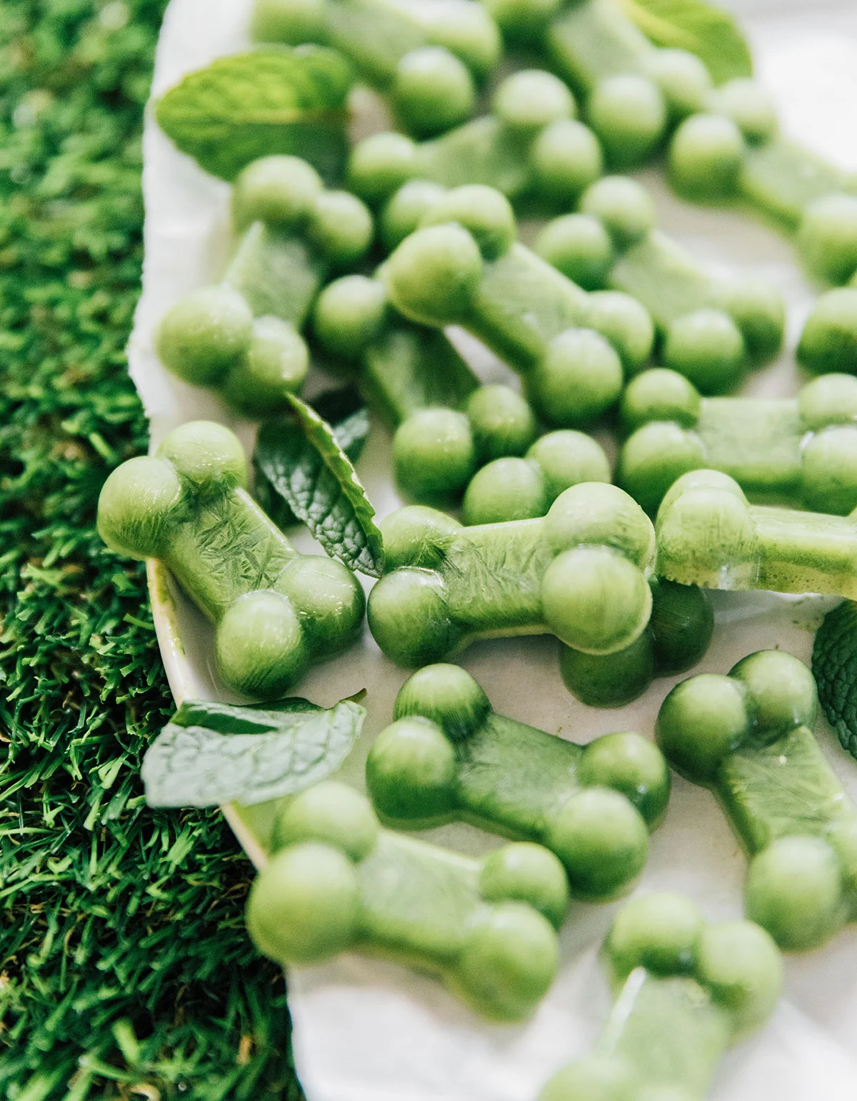 Can Dogs Eat Mint Leaves? It Depends On The Type! Bone Appetreat