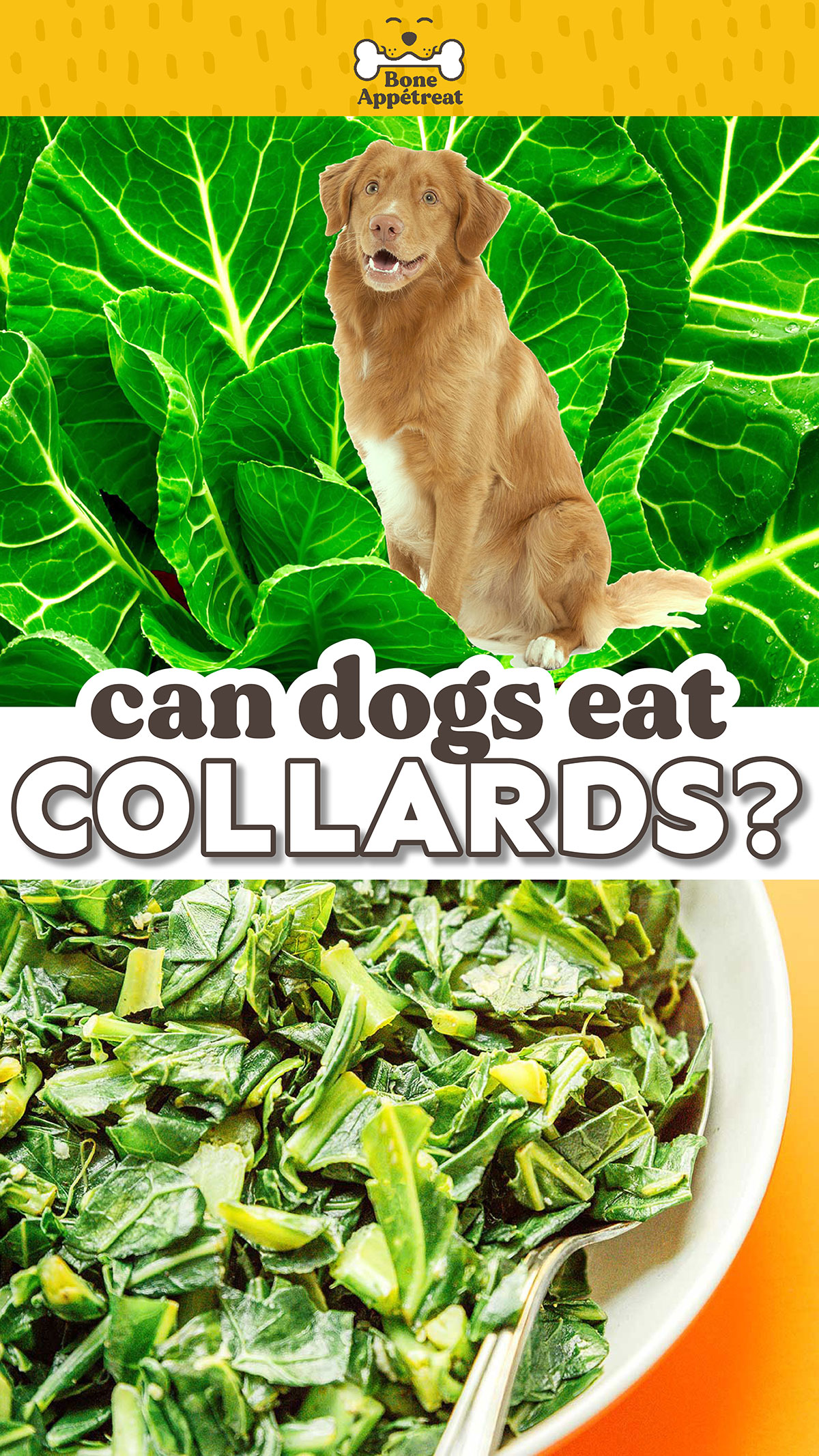 Can Dogs Eat Collard Greens (Read This!) Bone Appetreat