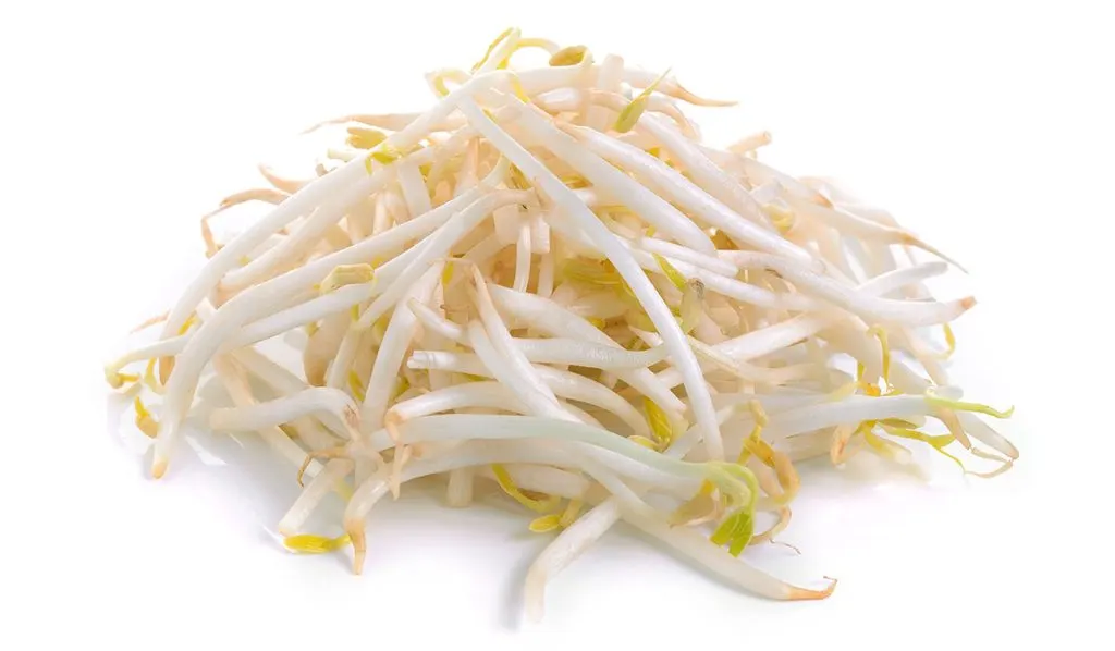 Bean sprouts on white background.