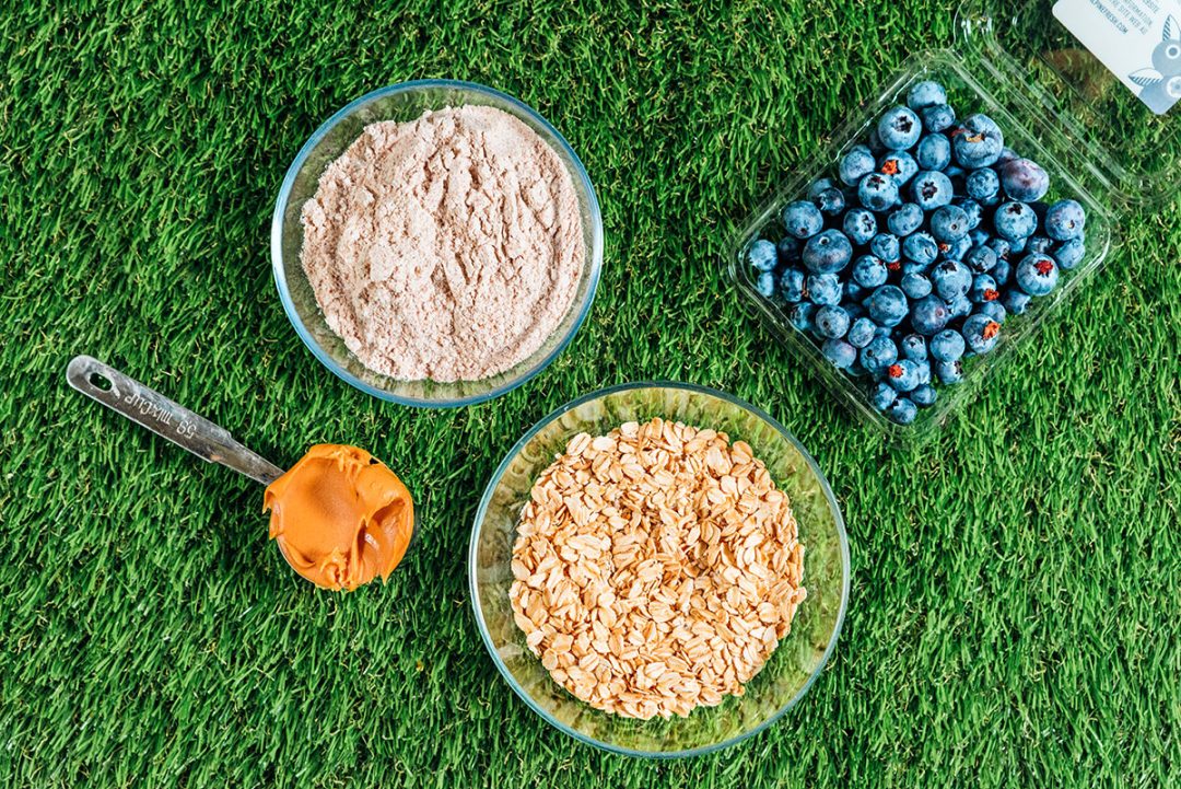 Crunchy Blueberry Dogs Treats Recipe (4 Ingredients) Bone Appetreat