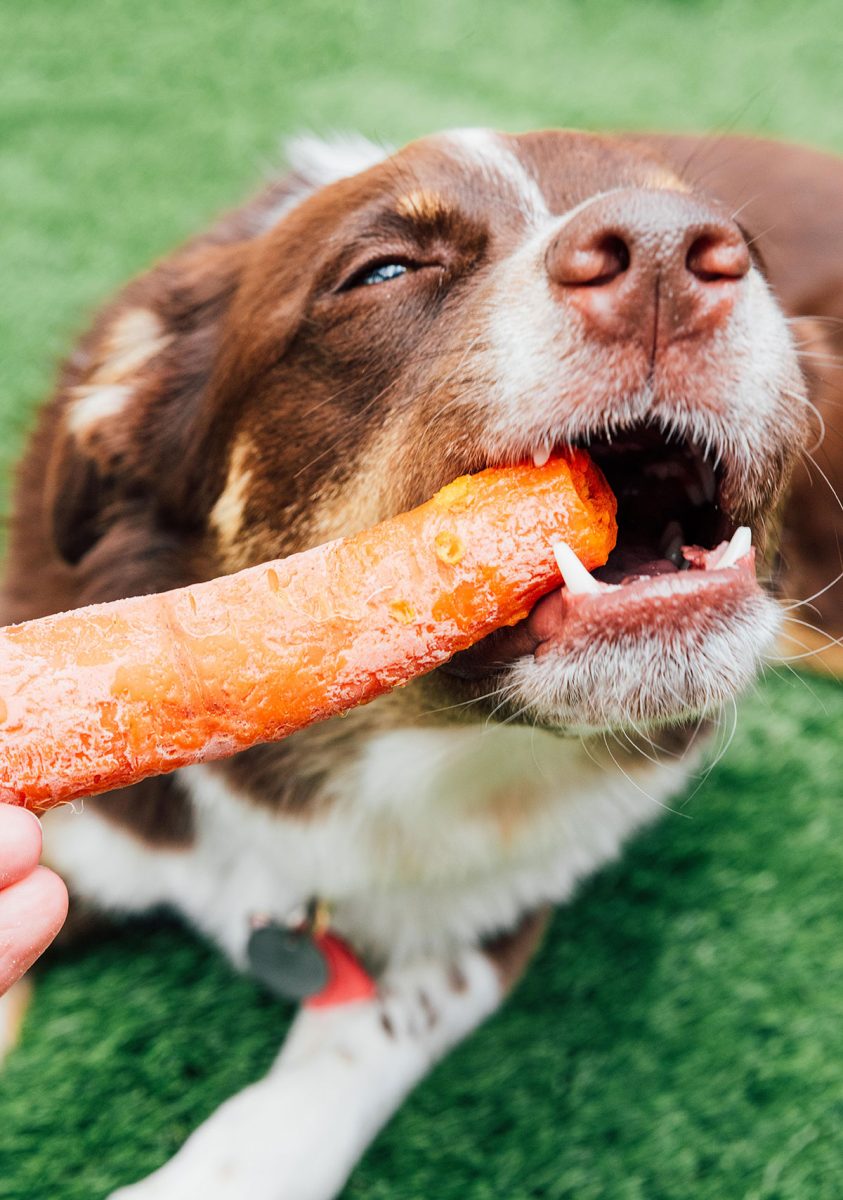 Frozen Carrot Homemade Dog Chews (2 Ingredients) Bone Appetreat
