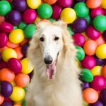 white dog in front of many skittles.
