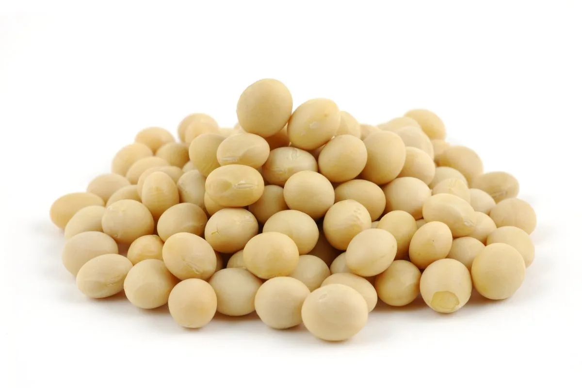 Soybeans on a white background.